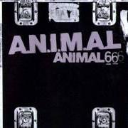 Il testo LÍMITES degli A.N.I.M.A.L. è presente anche nell'album Animal 6 (2001)