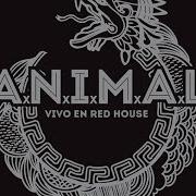 Il testo VAMOS DE PIE degli A.N.I.M.A.L. è presente anche nell'album Vivo en red house (2016)