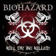 Il testo BEATEN SENSELESS dei BIOHAZARD è presente anche nell'album Kill or be killed (2003)