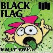 Il testo IT'S NOT MY TIME TO GO-GO dei BLACK FLAG è presente anche nell'album What the... (2013)