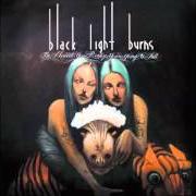 Il testo SPLAYED dei BLACK LIGHT BURNS è presente anche nell'album The moment you realize you're going to fall (2012)