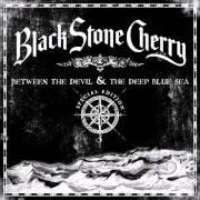 Il testo SUCH A SHAME dei BLACK STONE CHERRY è presente anche nell'album Between the devil & the deep blue sea (2011)