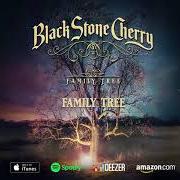 Il testo CARRY ME ON DOWN THE ROAD dei BLACK STONE CHERRY è presente anche nell'album Family tree (2018)
