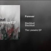 Il testo LOST IN TIME dei BLACKBUD è presente anche nell'album The livewire ep (2005)