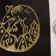 Il testo RISE RAW degli AARDVARKS è presente anche nell'album Eyes (1994)