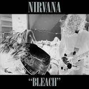 Il testo REASONS di BLEACH è presente anche nell'album Bleach (2000)