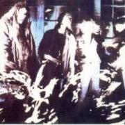 Il testo CAMPO AMARGO dei BARRICADA è presente anche nell'album No hay tregua (1986)