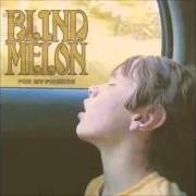 Il testo SO HIGH dei BLIND MELON è presente anche nell'album For my friends (2008)