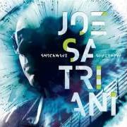 Il testo BUTTERFLY AND ZEBRA di JOE SATRIANI è presente anche nell'album Shockwave supernova (2015)