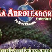 Il testo CULPA DE QUIEN dei LA ARROLLADORA BANDA EL LIMON è presente anche nell'album Pa adoloridos (2001)