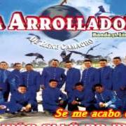 Il testo NO PUEDO VOLVER dei LA ARROLLADORA BANDA EL LIMON è presente anche nell'album Se me acabó el amor (2003)