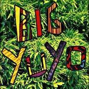 Il testo HACÉ LO QUE QUIERAS di LOS PERICOS è presente anche nell'album Big yuyo (1992)