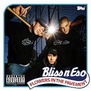 Il testo VAGINA ICE dei BLISS N ESO è presente anche nell'album Flowers in the pavement (2004)