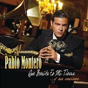 Il testo FLOR DE AZALEA di PABLO MONTERO è presente anche nell'album Que bonita es mi tierra... y sus canciones (2006)