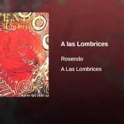 Il testo EN AGUA CALIENTE di ROSENDO è presente anche nell'album ...A las lombrices (1987)