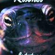 Il testo YO TAMBIÉN di ROSENDO è presente anche nell'album La tortuga (1992)