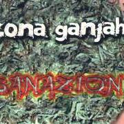 Il testo Y MI CORAZÓN CONTENTO di ZONA GANJAH è presente anche nell'album Sanazion (2007)