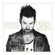 Il testo LAYING ME LOW di DAVID COOK è presente anche nell'album Laying me low (2013)
