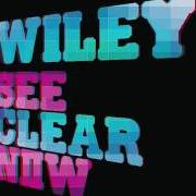 Il testo TURN IT UP di WILEY è presente anche nell'album See clear now (2008)