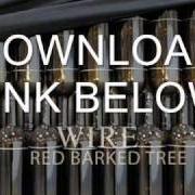 Red barked tree