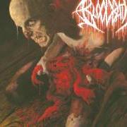 Il testo CANCER OF THE SOUL di BLOODBATH è presente anche nell'album Nightmares made flesh (2004)