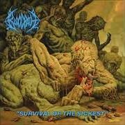Il testo TALES OF MELTING FLESH di BLOODBATH è presente anche nell'album Survival of the sickest (2022)
