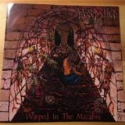 Il testo EMBRACED BY THE MACABRE dei BLOODSHED è presente anche nell'album Warped in the macabre (2003)
