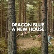 Il testo WILD dei DEACON BLUE è presente anche nell'album A new house (2014)