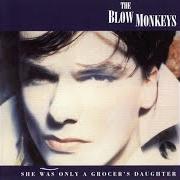 Il testo CASH dei THE BLOW MONKEYS è presente anche nell'album She was only a grocer's daughter (2014)
