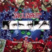 Il testo VIAJANDO EN EL TIEMPO dei JAGUARES è presente anche nell'album 45 (2008)