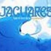 Il testo SANGRE dei JAGUARES è presente anche nell'album Bajo el azul de tu misterio 2 (1999)