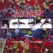 Il testo Y SI dei JAGUARES è presente anche nell'album Cronicas de un laberinto (2005)