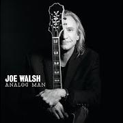 Il testo WRECKING BALL di JOE WALSH è presente anche nell'album Analog man (2012)