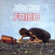 Il testo SEARCH PARTY di JULIAN COPE è presente anche nell'album Fried (1984)