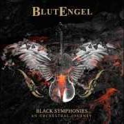 Il testo SOULTAKER dei BLUTENGEL è presente anche nell'album Black symphonies (2014)