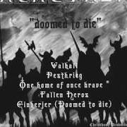 Il testo PESTKRIEG dei NACHTFALKE è presente anche nell'album Doomed to die (2002)