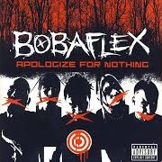 Il testo FAMILY dei BOBAFLEX è presente anche nell'album Apologize for nothing (2005)