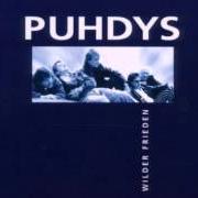 Il testo HÖHENFLUG dei PUHDYS è presente anche nell'album Wilder frieden (1999)