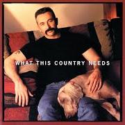 Il testo SWEETWATER di AARON TIPPIN è presente anche nell'album What this country needs (1998)