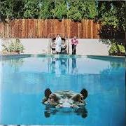 Hippopotamus Hippopotamus