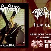 Trans cunt whip Trans cunt whip