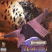 Il testo IT AIN'T A THANG di BOONDOX è presente anche nell'album The harvest (2006)
