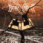 Il testo REVOLT dei BORKNAGAR è presente anche nell'album Quintessence (2000)