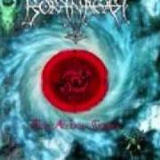 Il testo NOCTURNAL VISION dei BORKNAGAR è presente anche nell'album The archaic course (1999)