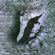 Il testo OM HUNDREDEAARERALTING GLEMT dei BORKNAGAR è presente anche nell'album The olden domain (1997)