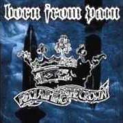 Il testo IMMORTALITY dei BORN FROM PAIN è presente anche nell'album Reclaiming the crown (2003)