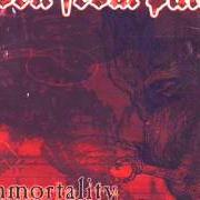 Il testo IMMORTALITY dei BORN FROM PAIN è presente anche nell'album Immortality (2002)
