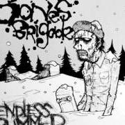 Il testo MELTDOWN dei BONES BRIGADE è presente anche nell'album Endless bummer (2006)