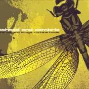 Il testo I ROBOT dei COHEED AND CAMBRIA è presente anche nell'album The second stage turbine blade (2002)