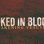 Il testo MOMENTS AND POSSIBILITIES degli INKED IN BLOOD è presente anche nell'album Awakening vesuvius - ep (2003)